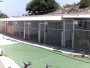 Mellieħa - Noah's Ark Dog Sanctuary