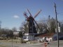 Elk Horn - Duński wiatrak