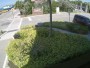 Dunedin - Marina Plaza