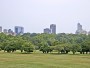 Raleigh - Dorothea Dix Park