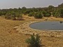 Parco nazionale Kruger - Orpen Rest Camp
