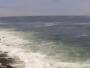 Arica - Isla Alacran