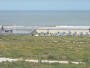 Katwijk aan Zee