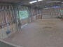 Newton Abbot - Pony
