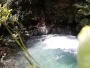 Nelson - Brook Waimārama Sanctuary
