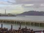San Francisco - Pier 39 - Lobos marinos