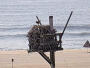 Sandy Hook - Nid de balbuzard pêcheur