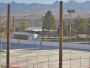 Salmon - Hockey Rink