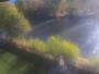Salmon - Salmon river