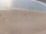 Mount Martha - Beach