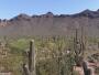 Tonto Forest Estates - Goldfield Mountains