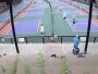 Cincinnati - Sawyer Point Pickleball Courts