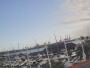 Durban - Marina