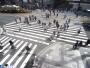 Hiroshima - Hondori - Zebra crossing