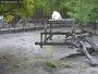 Felsőlajos - Magan Zoo
