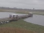 Beaumont - Cattail Marsh