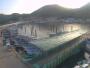 Daecheongdo - Puerto