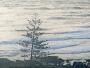 Tweed Heads - Duranbah Beach
