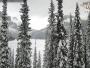 Field - Emerald Lake
