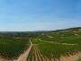 Givry - Viñedos