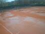 Halderberge - Hoeven - Tennisclub Pagnevaart