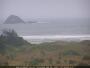 Muriwai - Beach