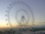 Orlando - The Wheel at ICON Park Orlando