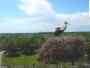 Pamhagen - VILA VITA Pannonia