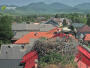 Partizánska Ľupča - Störche