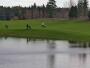 Pirkkala - Golfplatz