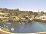 Santa Rosa - Blue Hole