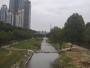 Seul - Gangnam-gu - Yangjaecheon