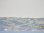 St. Philip’s - Bell Island