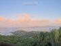 Saint John - Coconuts & Plumeria