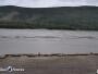 Nenana Ice Classic